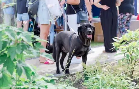 Das war unser Familien- und Sommerfest 2019 – Galeriefoto 38